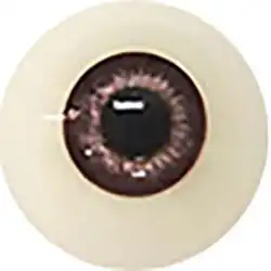 #06