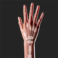 Articulated Fingers FREE