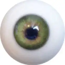 No.2