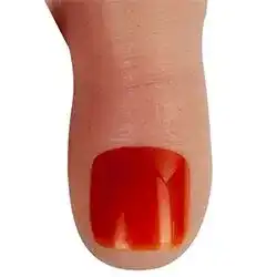 No.5