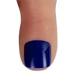 No.6