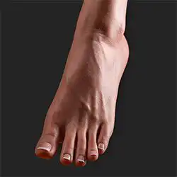 Hard Feet FREE