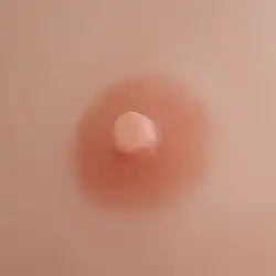4cm