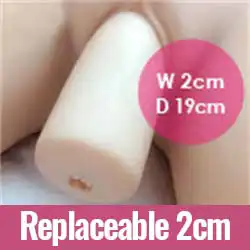 Replaceable 2cm (FREE)