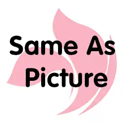 Same as Picture