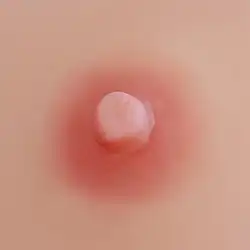 Light Tan