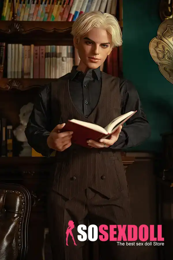 Silicone Handsome Scholar Fantasy Male Sex Doll