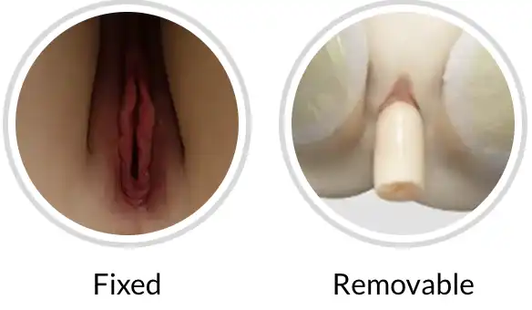 sex doll vagina type