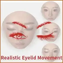 Realistic Eyelid Movement