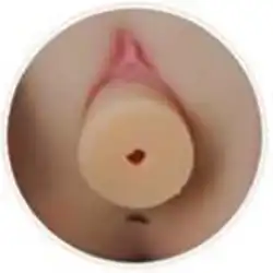 Replaceable Vagina Insert